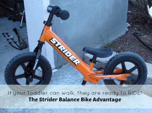 strider balance bike prebike